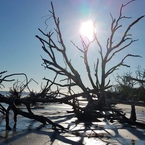 Meet your Posher, Pamela